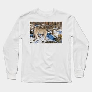 Gray Wolf Long Sleeve T-Shirt